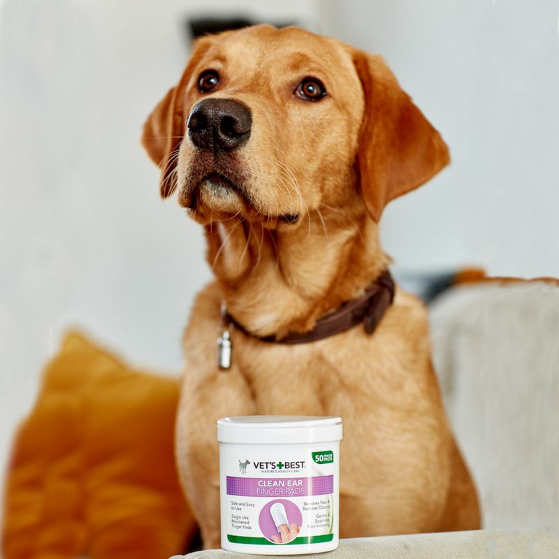 Bitiba Salviette per la pulizia delle orecchie Vet's Best® Clean Soddisfazione Garantita