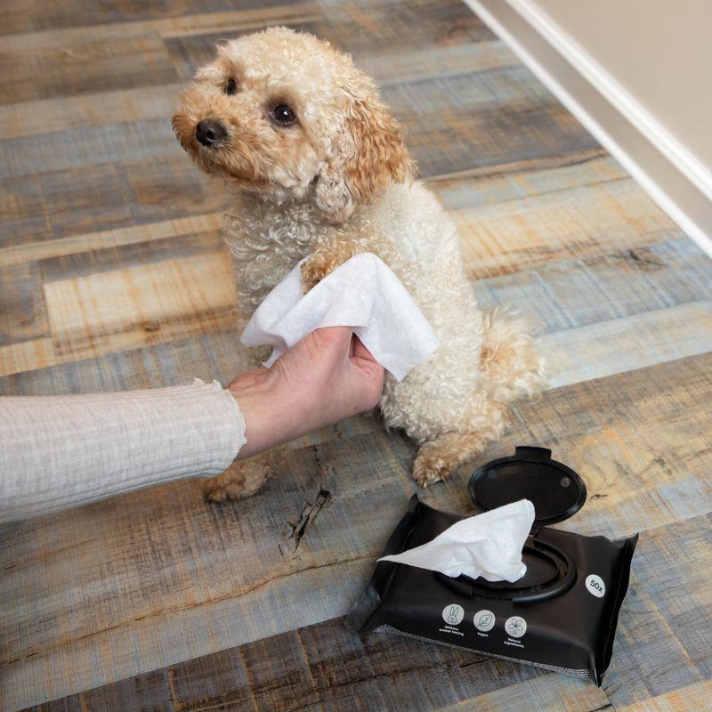 Bitiba kooa Salviette detergenti per cane Promozione Limitata