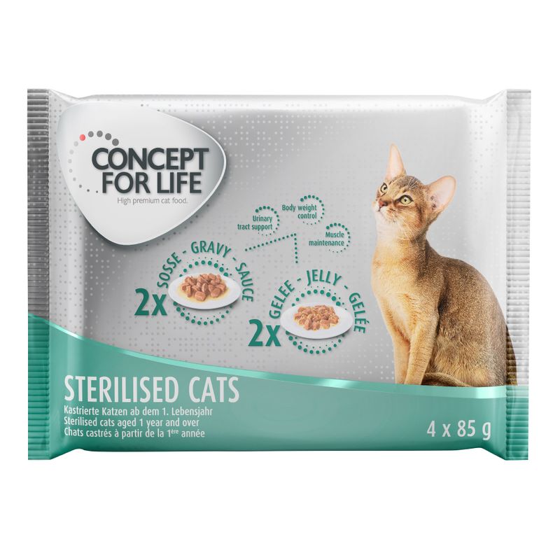 Bitiba Provalo Set misto Concept for Life 4 x 85 g Vendita Calda