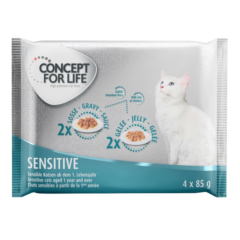 Bitiba Provalo Set misto Concept for Life 4 x 85 g Vendita Calda