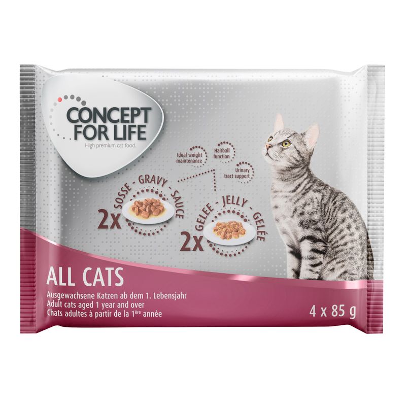 Bitiba Provalo Set misto Concept for Life 4 x 85 g Vendita Calda