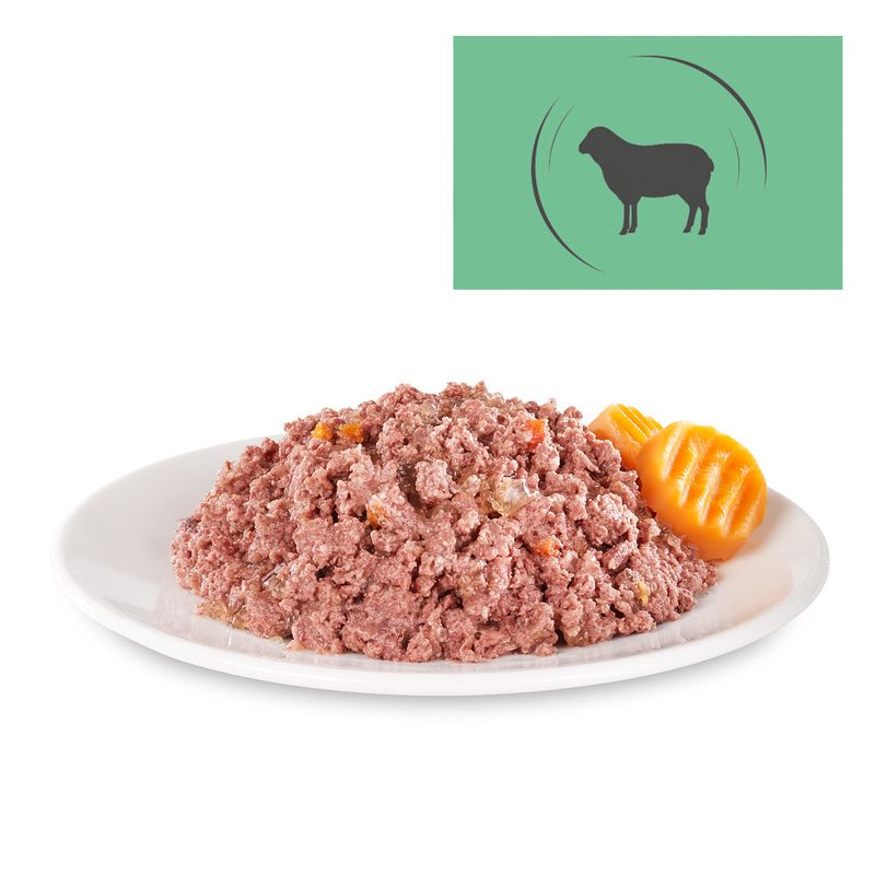 Bitiba Briantos Delicious Paté 6 x 400 g umido cane Italia