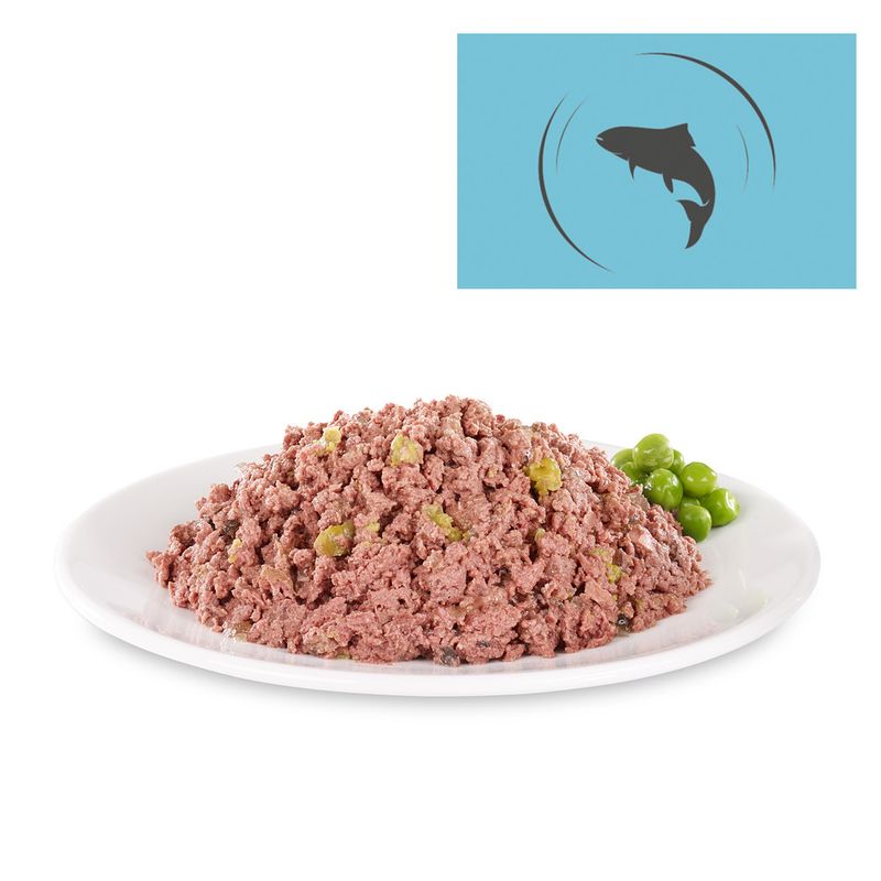 Bitiba Briantos Delicious Paté 6 x 400 g umido cane Italia