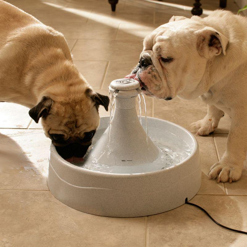 Bitiba Fontana PetSafe® Drinkwell® 360 Pezzi Unici