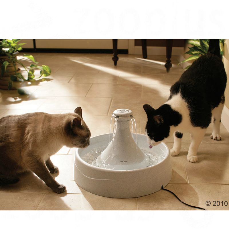 Bitiba Fontana PetSafe® Drinkwell® 360 Pezzi Unici