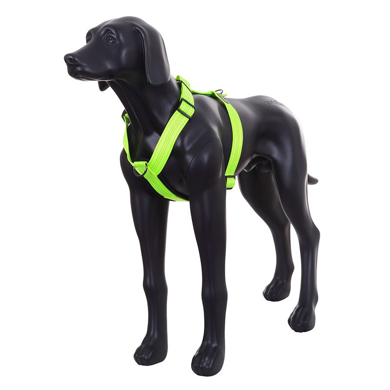 Bitiba Pettorina Rukka® Form Neon giallo Soddisfazione Garantita