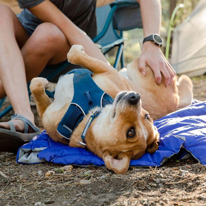 Bitiba Pettorina Ruffwear Front Range blue moon Consegna Veloce