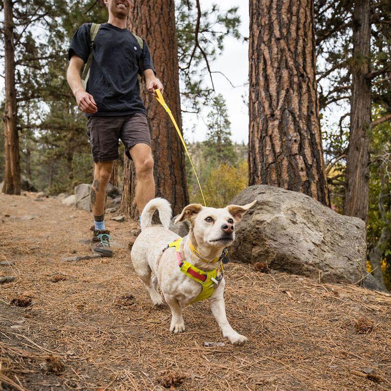 Bitiba Guinzaglio Ruffwear Hi & Light Shopping Online