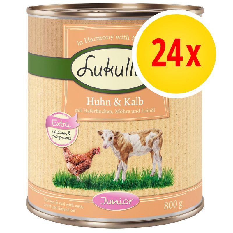 Bitiba Fai scorta Lukullus Junior 24 x 800 g Fino Al -60%