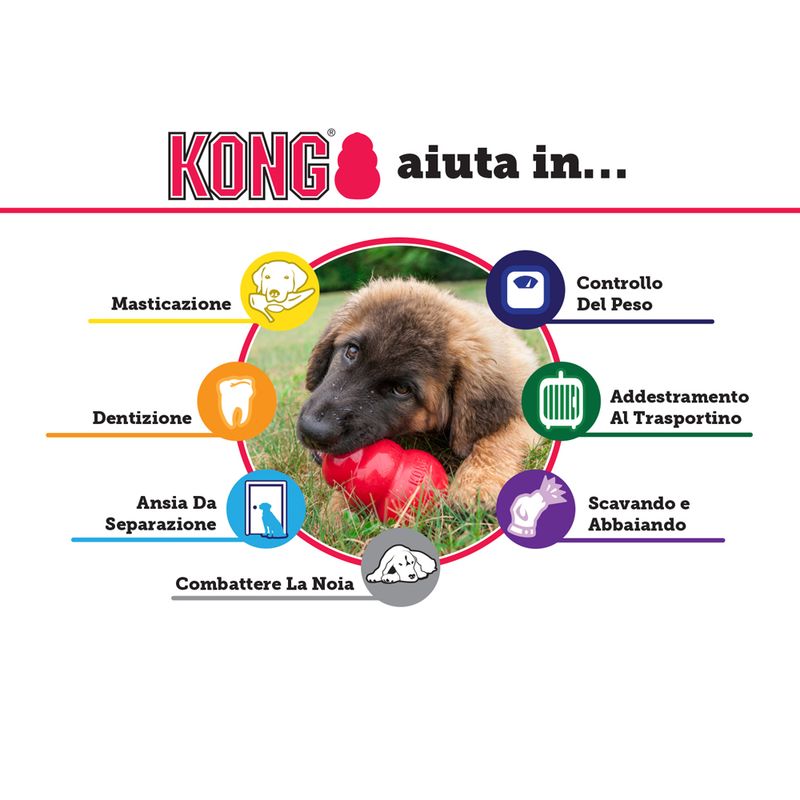 Bitiba KONG Extreme Outlet