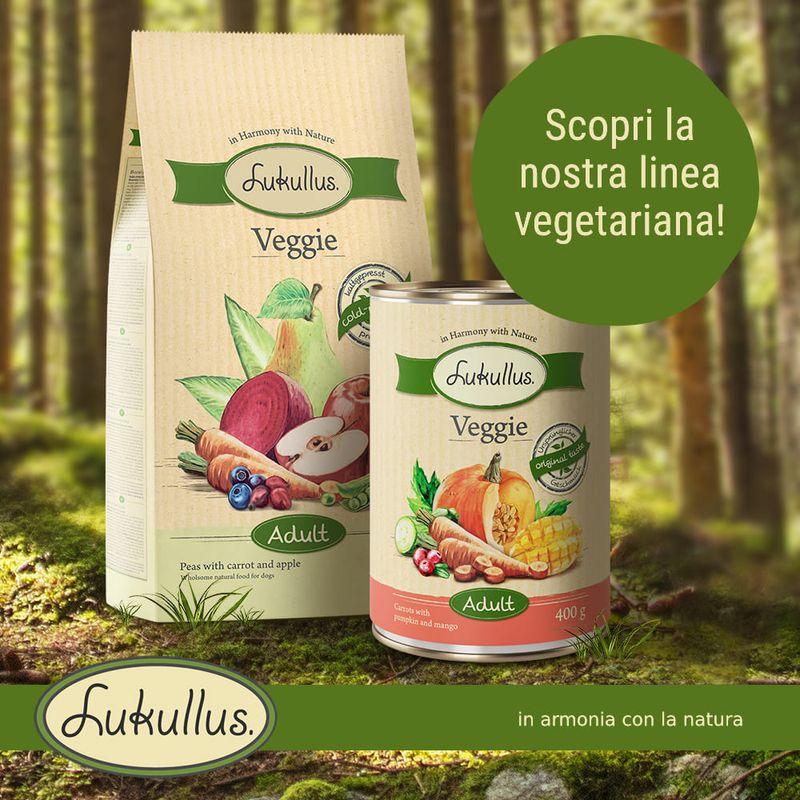 Bitiba Provalo 6 x 400 g Alimento umido + 1 5 kg Crocchette Lukullus Veggie Sconto