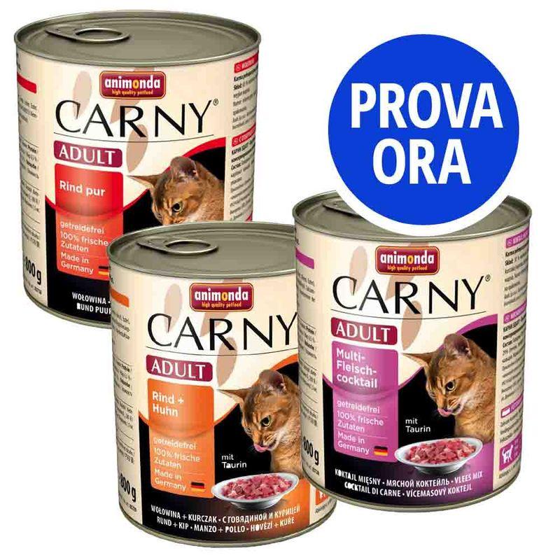 Bitiba Provalo animonda Carny Adult 12 x 800 g Moda