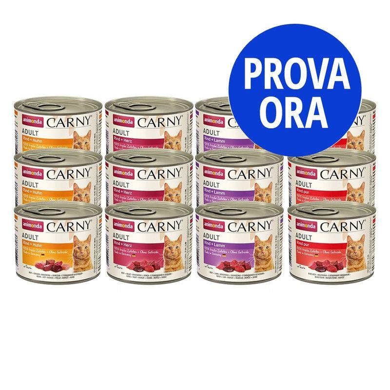 Bitiba Provalo animonda Carny Adult 12 x 200 g