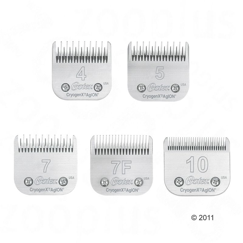 Bitiba Testa di taglio n° 7 Skip Tooth (3 2 mm) per Tosatrici Oster Promozione Limitata