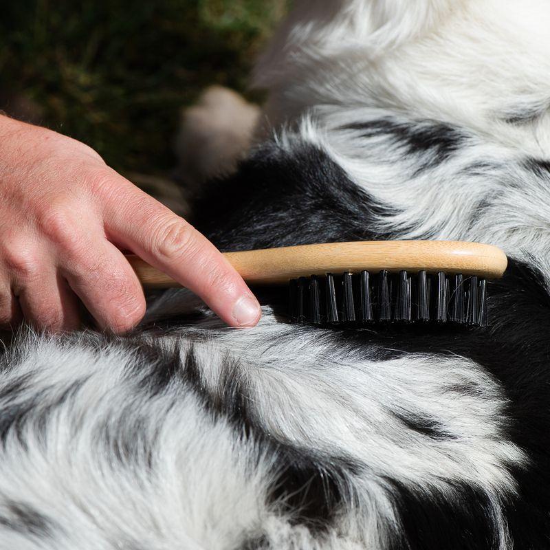 Bitiba kooa Spazzola in bambù per la cura del pelo Novità