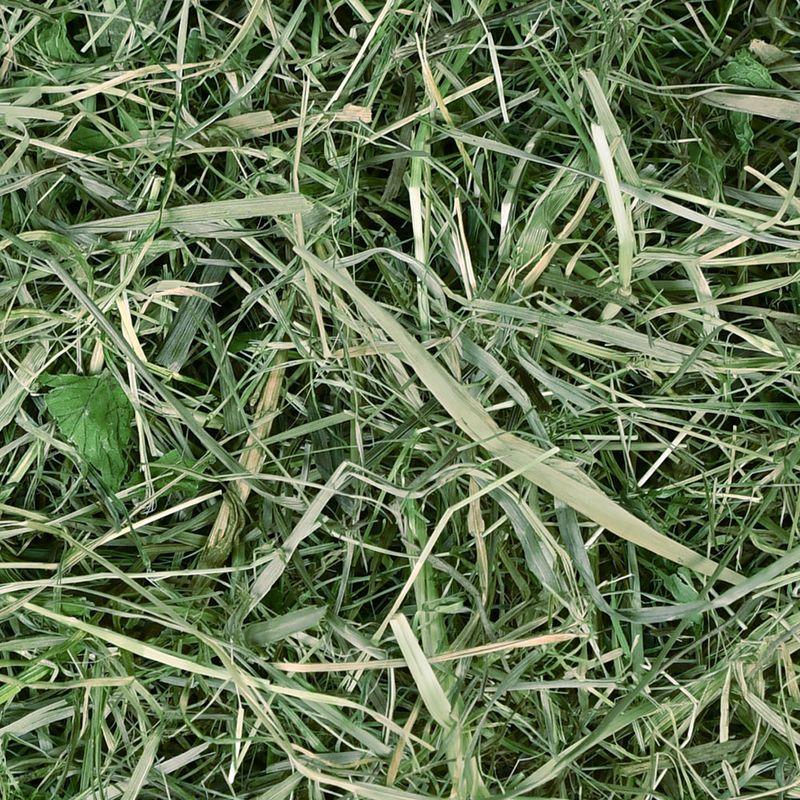 Bitiba Fieno di prato di montagna Chipsi Sunshine Bio Plus Novità