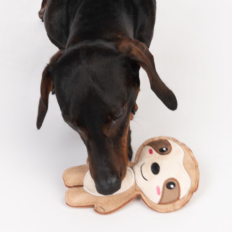 Bitiba Gioco TIAKI bradipo con Squeaky per cani Offerte
