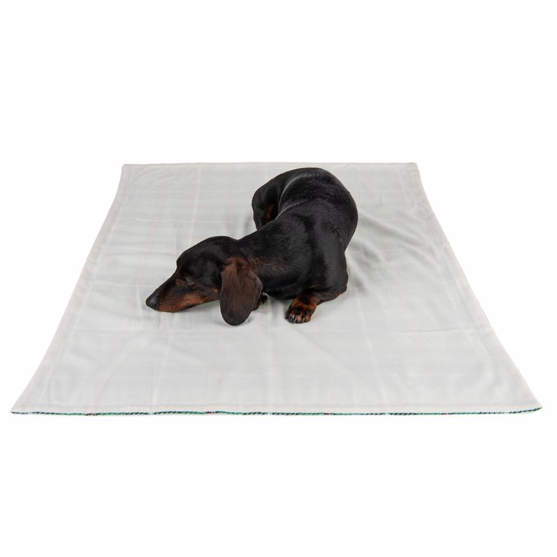 Bitiba Coperta Check per cani e gatti Vendita Economica