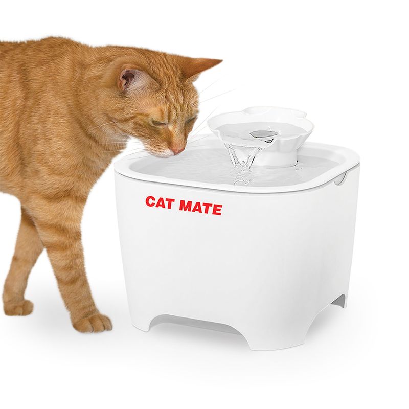Bitiba Fontana Cat Mate Shell Saldi Di Fabbrica