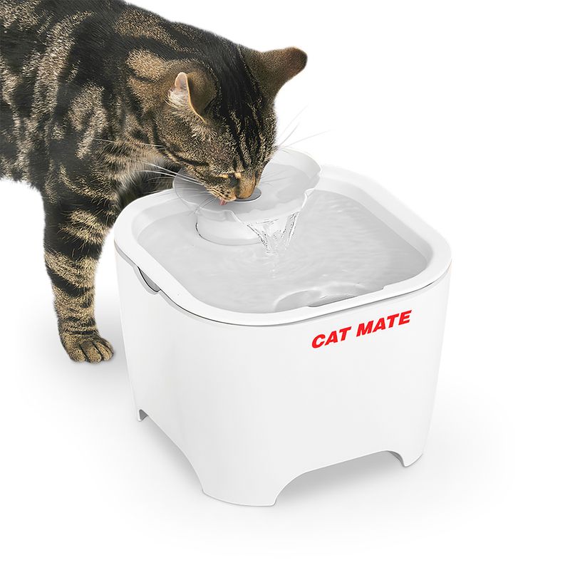 Bitiba Fontana Cat Mate Shell Saldi Di Fabbrica