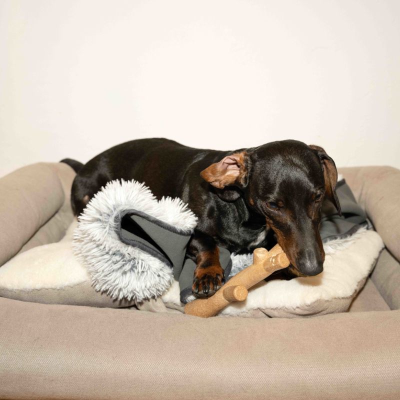 Bitiba Nomad Tales Calma Giocattolo per cani Ramo di bambù Vendite Flash