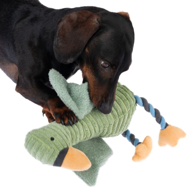 Bitiba Gioco per cani TIAKI Gabbiano Aral In Linea