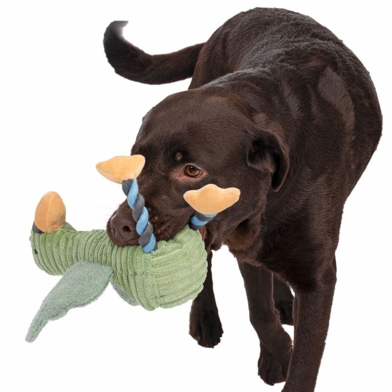 Bitiba Gioco per cani TIAKI Gabbiano Aral In Linea