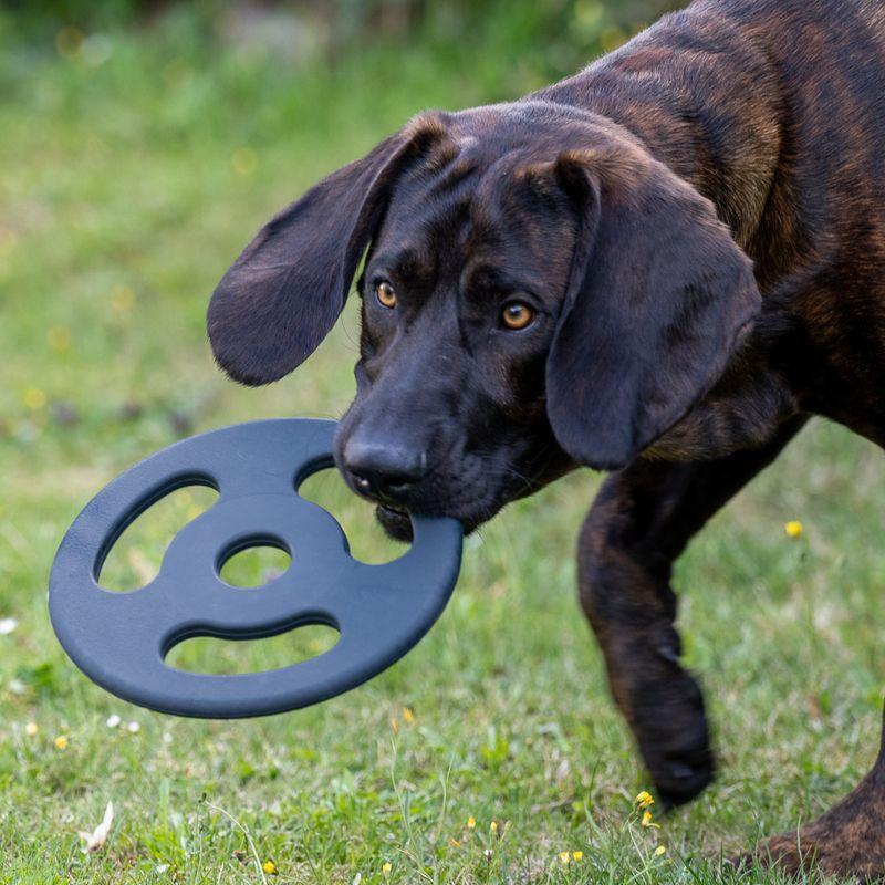 Bitiba Gioco per cani Nomad Tales Bloom Ultra strong Frisbee Nuovo