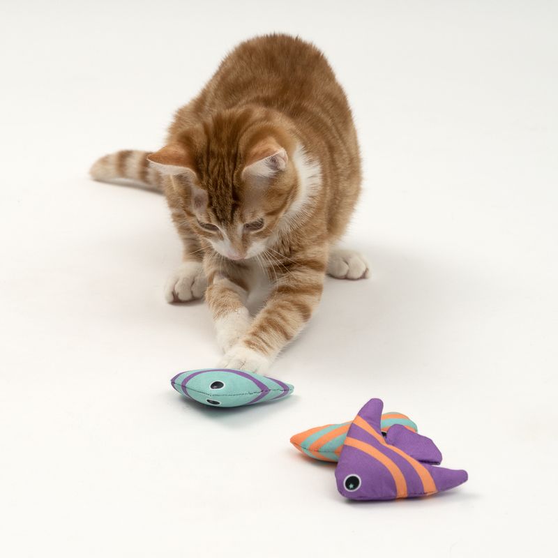 Bitiba Gioco per gatti TIAKI Pesci con catnip Promozione