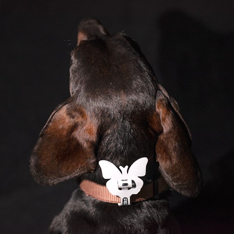 Bitiba Set figure riflettenti TIAKI per cane Qualità Garantita