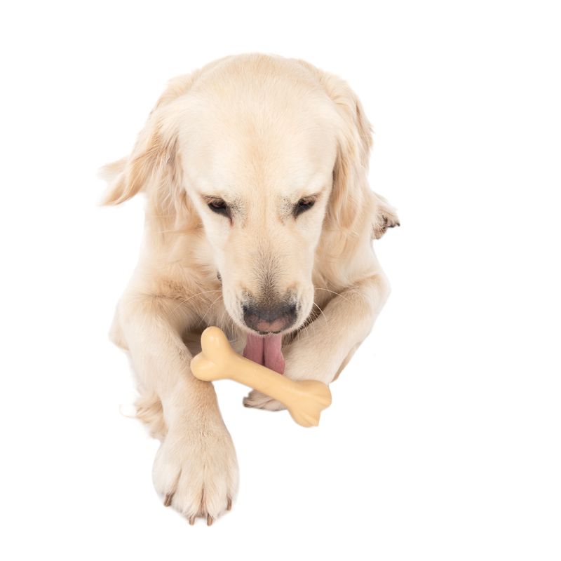 Bitiba TIAKI Osso in gomma Gioco per cane Negozi Online