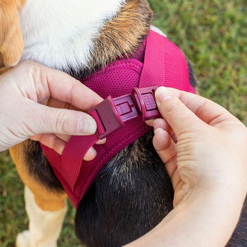 Bitiba Pettorina curli Vest Clasp Air-Mesh - fucsia Presa