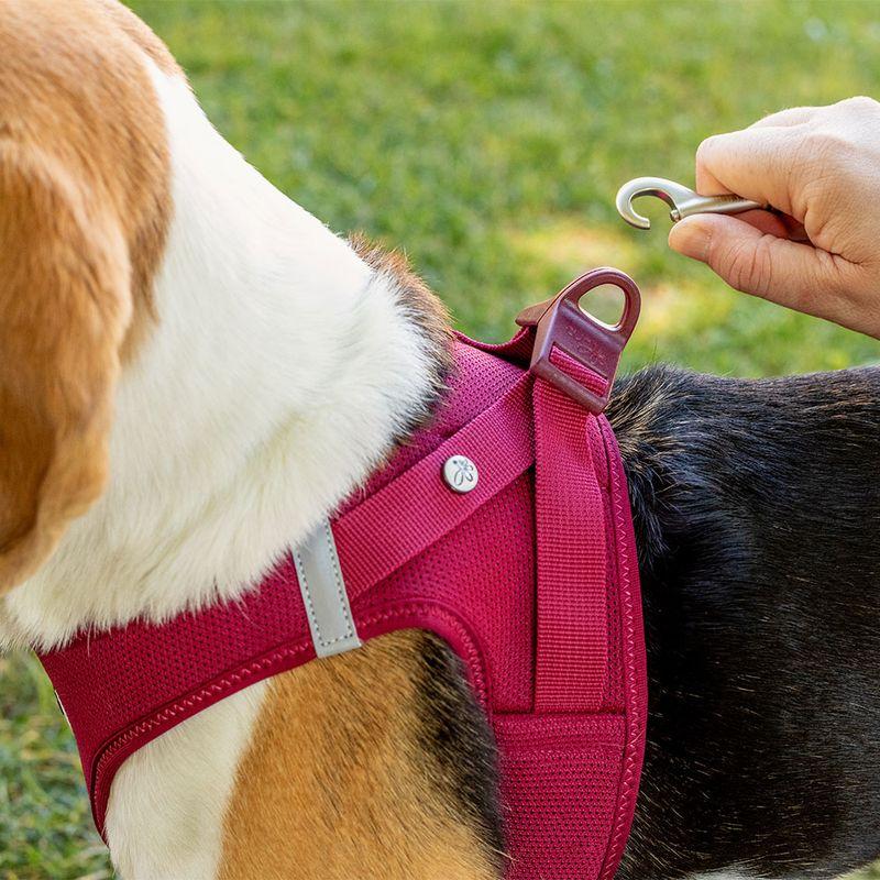 Bitiba Pettorina curli Vest Clasp Air-Mesh - fucsia Presa