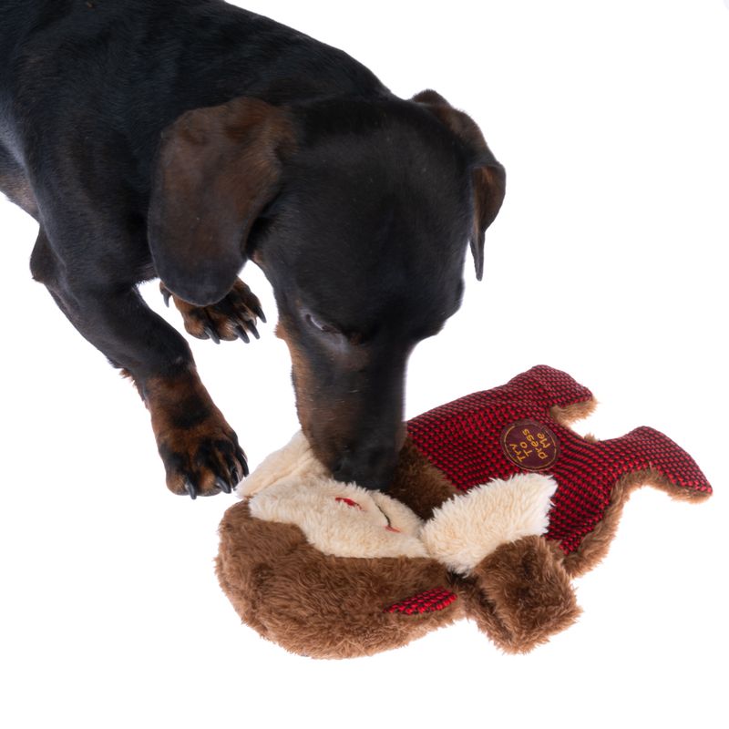 Bitiba Gioco per cani TIAKI Winkie Monkey Offerta