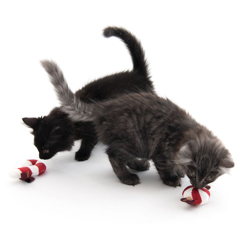 Bitiba Gioco per gatti TIAKI Christmas Candy con catnip Nuovo