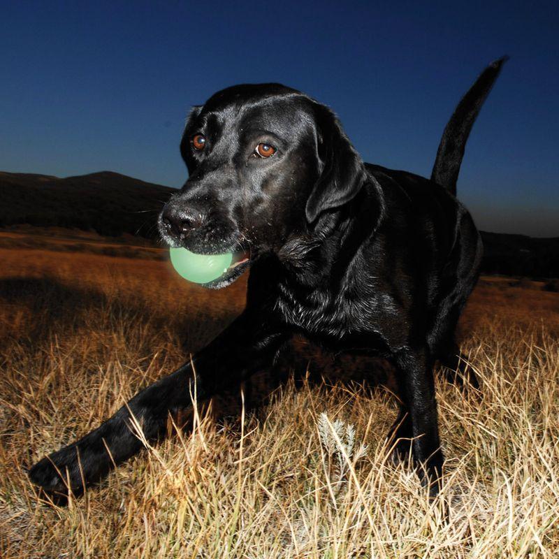 Bitiba Chuckit Palla gioco Max Glow Ball Sottocosto