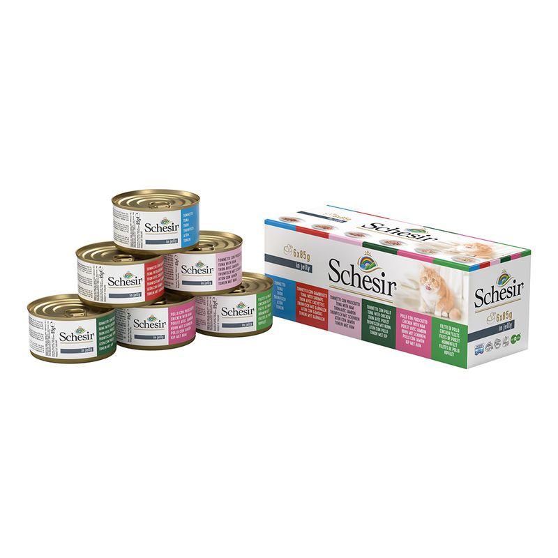 Bitiba Fai scorta Schesir in Gelatina 24 x 85 g Alimento umido per gatti Affare Del Giorno