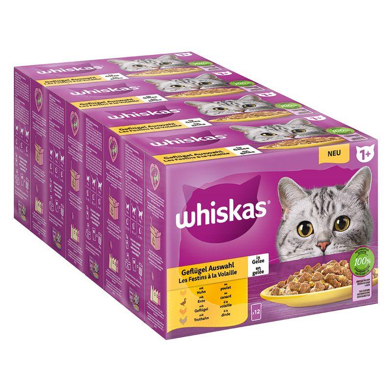 Bitiba Whiskas 1+ buste 48 x 85 g Alimento umido per gatti Qualità