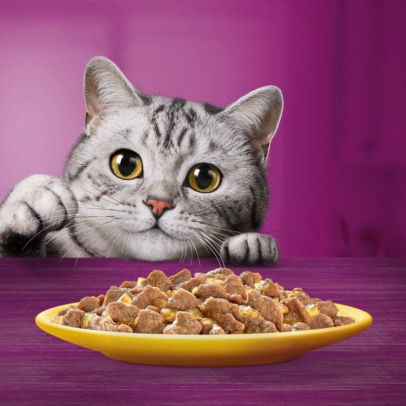 Bitiba Whiskas 1+ buste 48 x 85 g Alimento umido per gatti Qualità