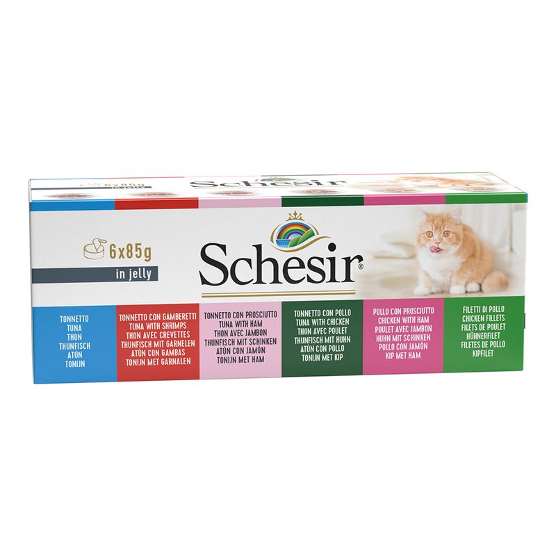 Bitiba Schesir in Gelatina 6 x 85 g Moda