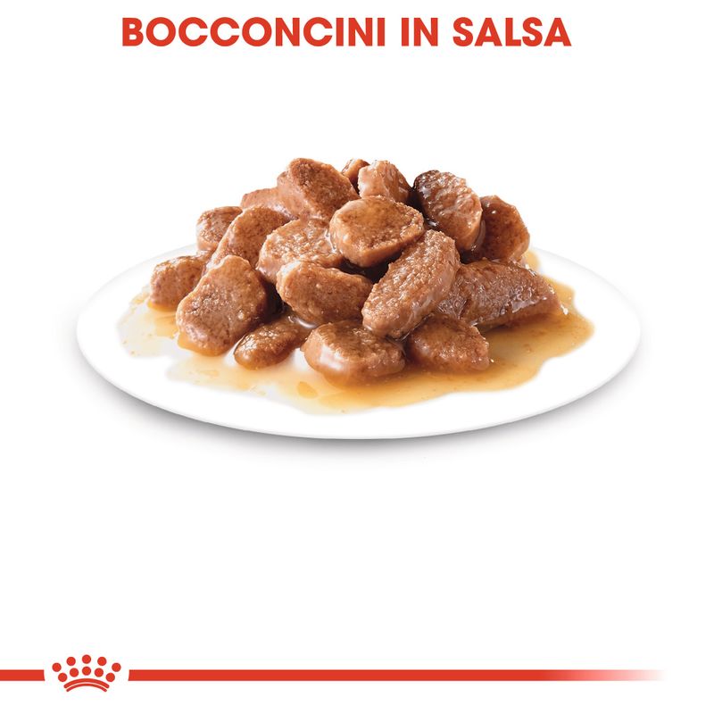 Bitiba Royal Canin Sterilised umido in Salsa per gatti Vendita