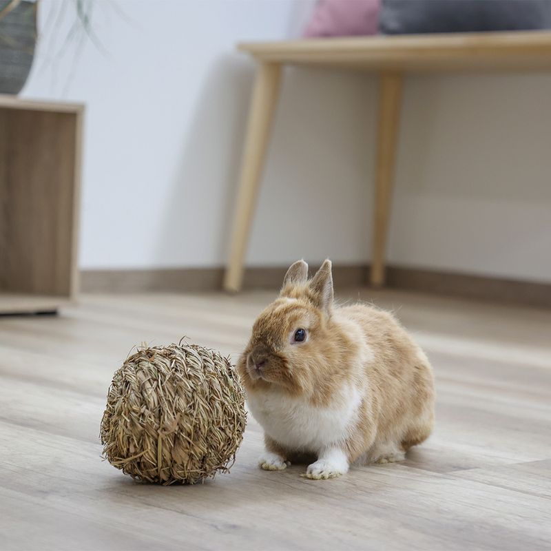 Bitiba Kerbl Pet Palla d'erba per piccoli animali Fino al 55% di sconto