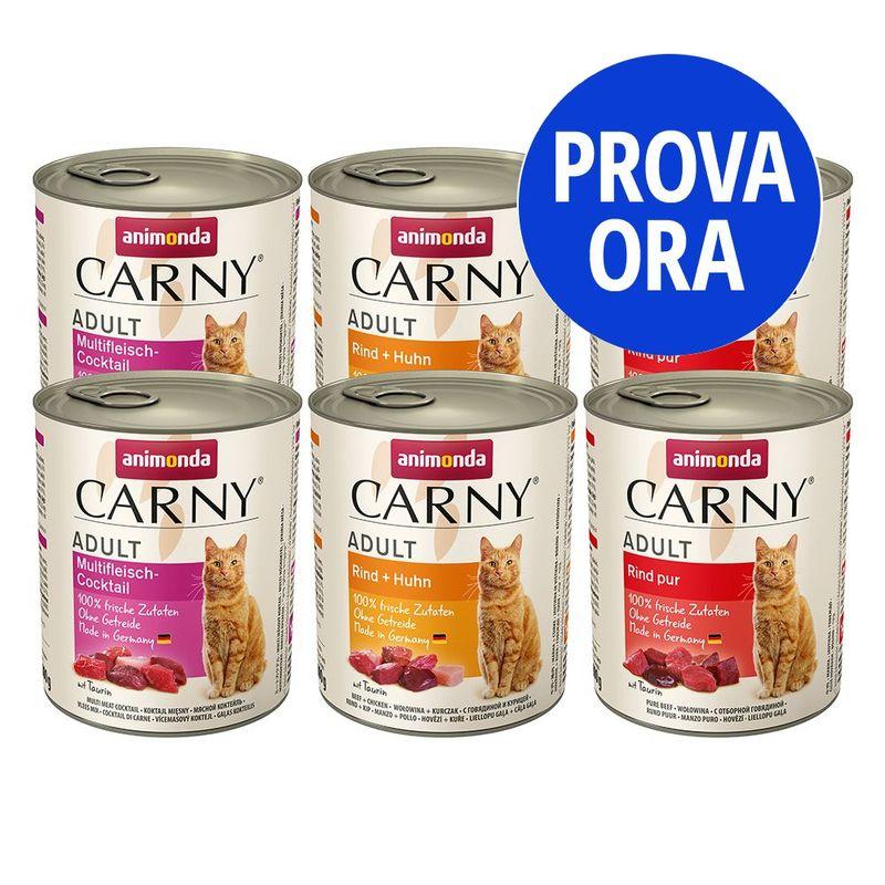 Bitiba Provalo animonda Carny Adult 6 x 800 g Consegna Veloce