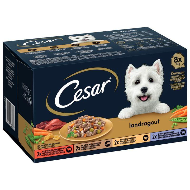 Bitiba Provalo Pacco misto Cesar Ricette di Campagna Promozione Limitata