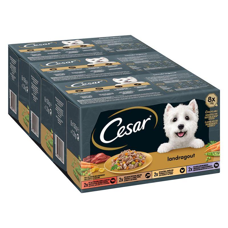 Bitiba Provalo Pacco misto Cesar Ricette di Campagna Promozione Limitata