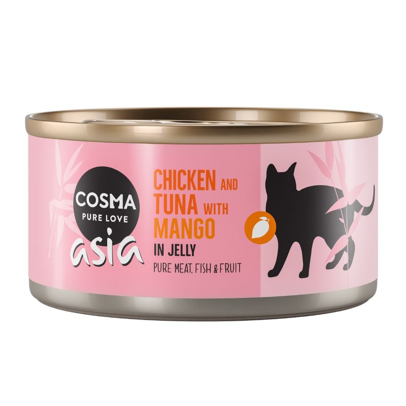 Bitiba Provalo Cosma Thai /Asia in gelatina Pacco misto umido per gatto Shopping Online