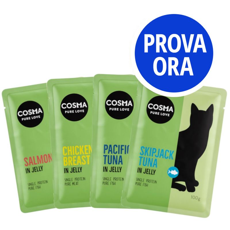 Bitiba Provalo Cosma Original Buste