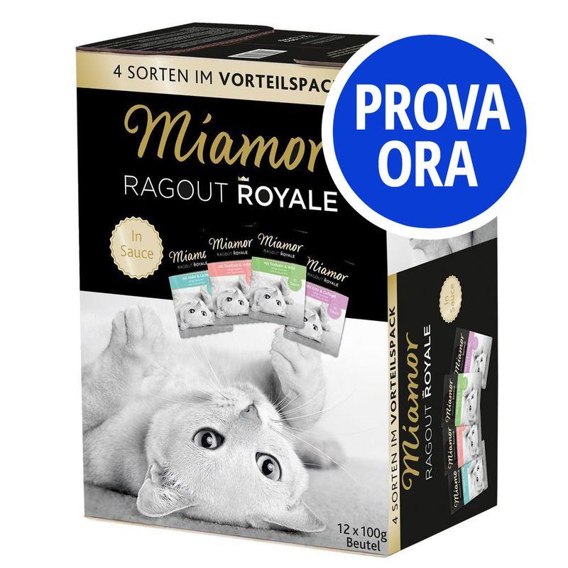 Bitiba Provalo Miamor Ragù Royal in Salsa 12 x 100 g