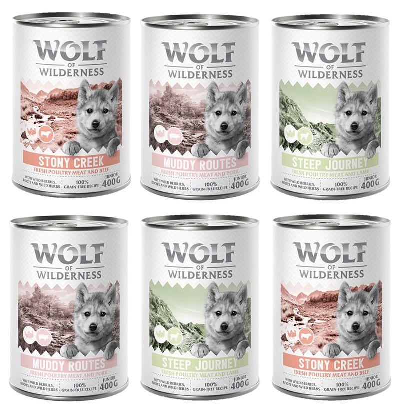 Bitiba Provalo Wolf of Wilderness Junior umido per cane Offerta esclusiva