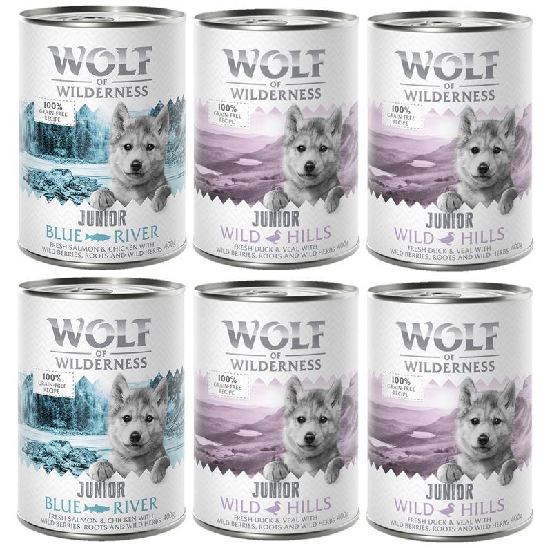 Bitiba Provalo Wolf of Wilderness Junior umido per cane Offerta esclusiva